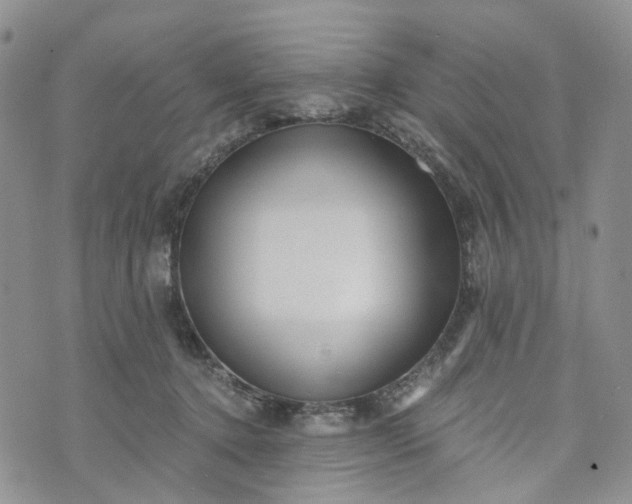 X0000072980368200608041249