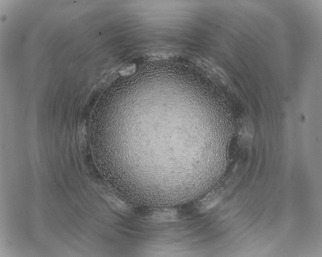 X0000072980369200608041249