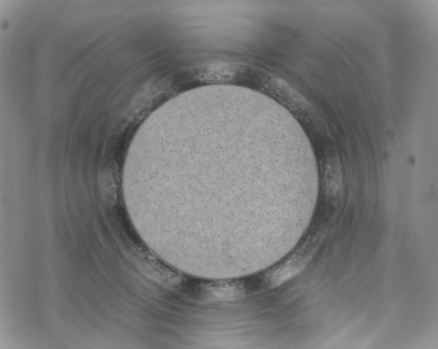 X0000072980370200608041249