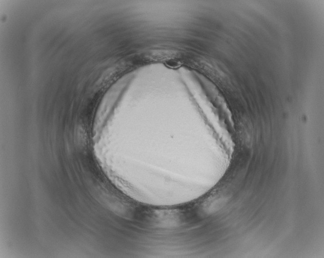 X0000072980371200608041249