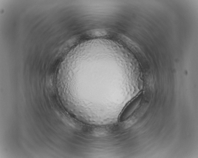 X0000072980373200608041249