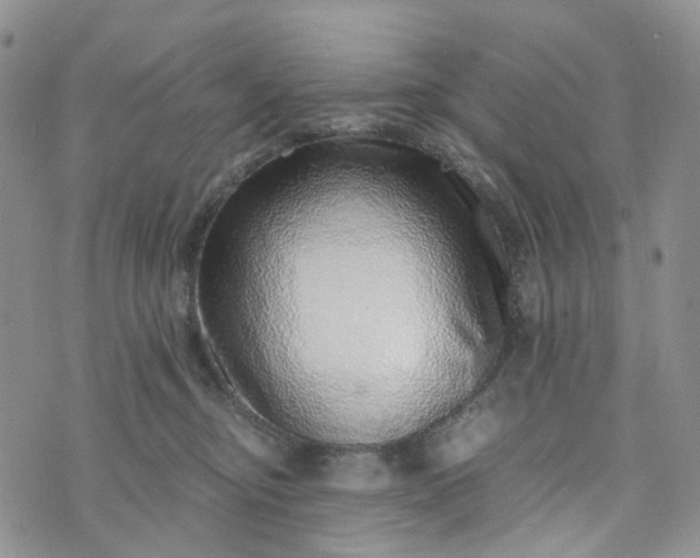 X0000072980374200608041249