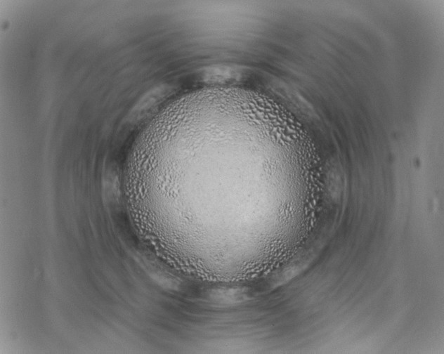 X0000072980375200608041249