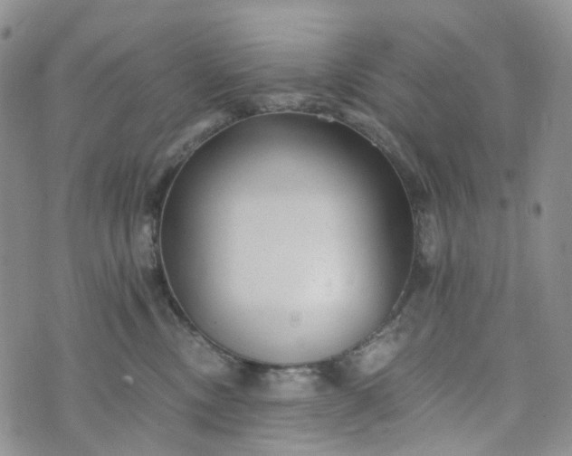 X0000072980378200608041249