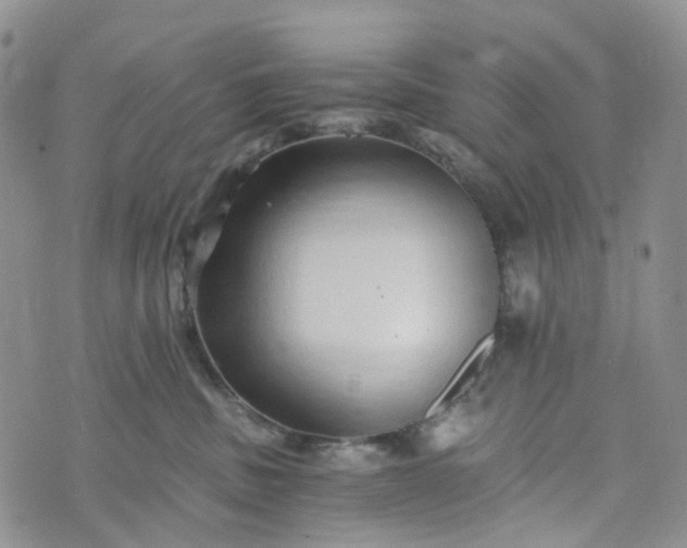 X0000072980379200608041249