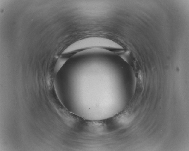 X0000072980380200608041249