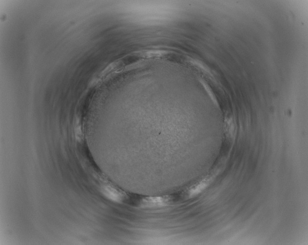 X0000072980381200608041249