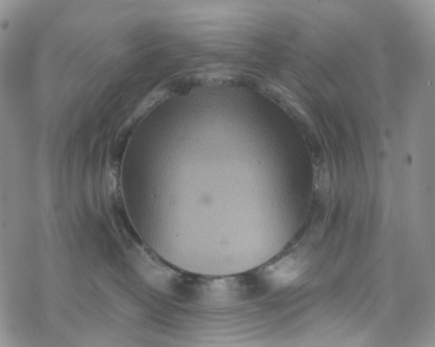 X0000072980382200608041249