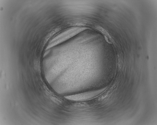 X0000072980386200608041248