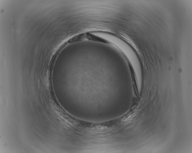 X0000072980387200608041248