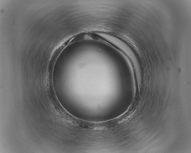 X0000072980388200608041248