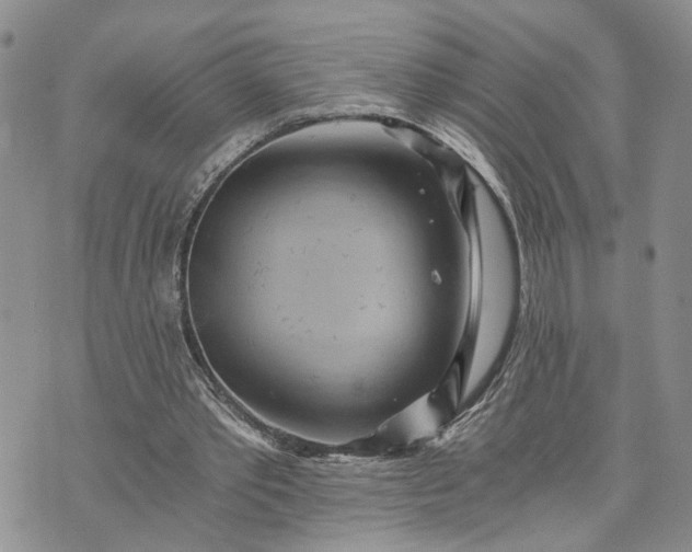 X0000072980389200608041248