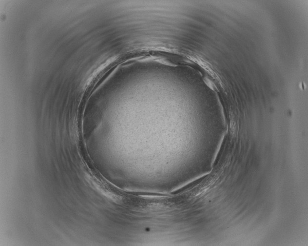 X0000072980390200608041248