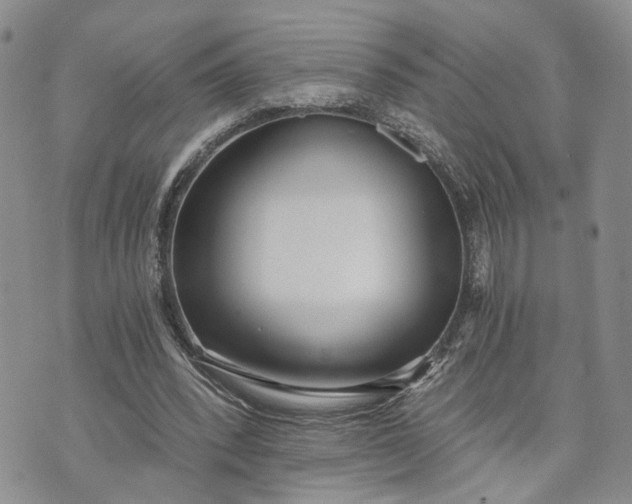 X0000072980392200608041248