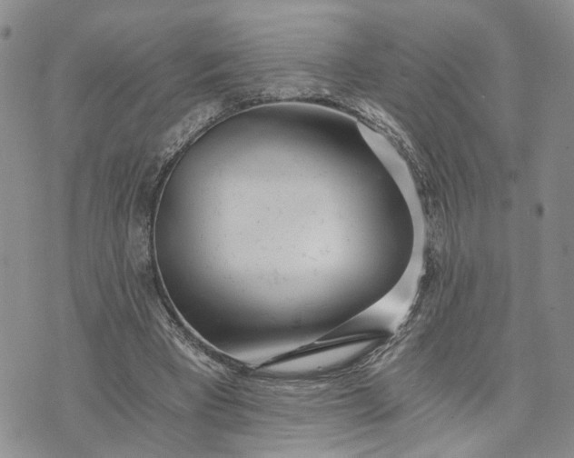 X0000072980393200608041248