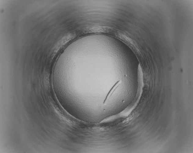 X0000072980394200608041248