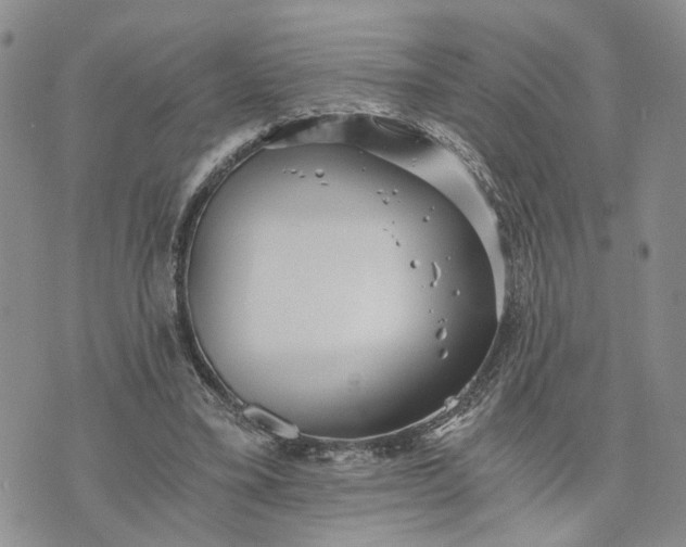 X0000072980395200608041248