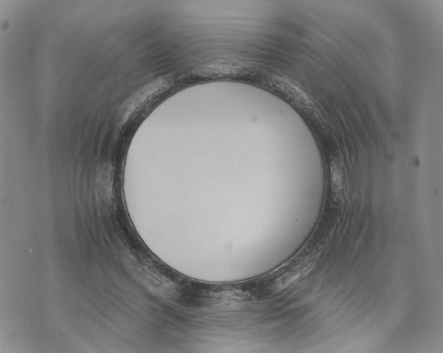 X0000072980396200608041248