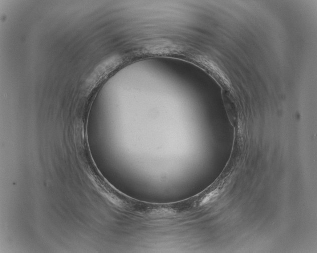 X0000072980397200608041248