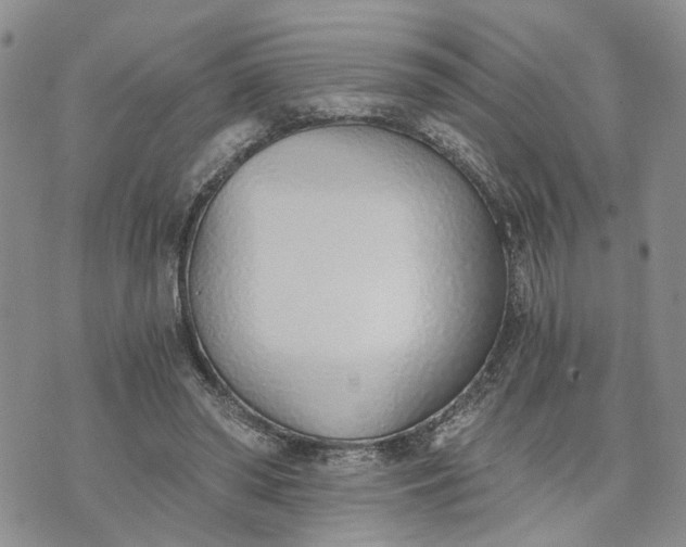 X0000072980398200608041248