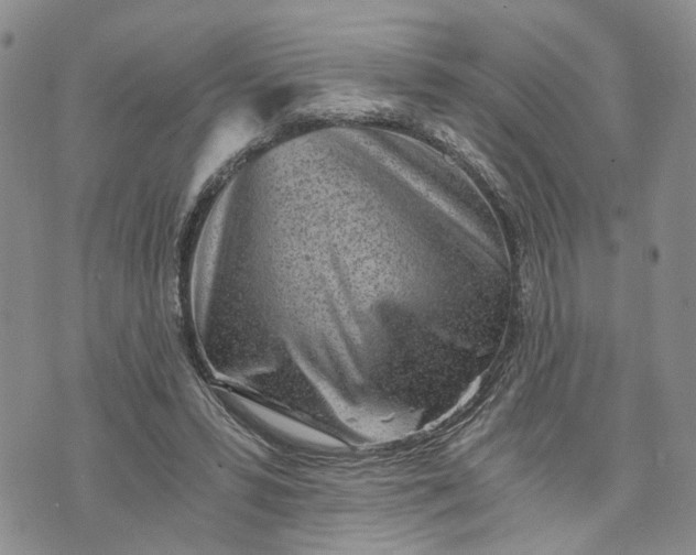 X0000072980399200608041248