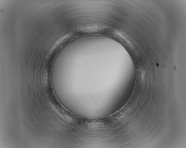 X0000072980400200608041248