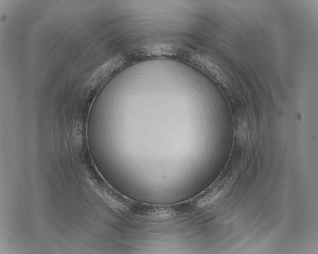 X0000072980402200608041248