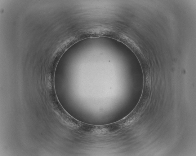 X0000072980403200608041248