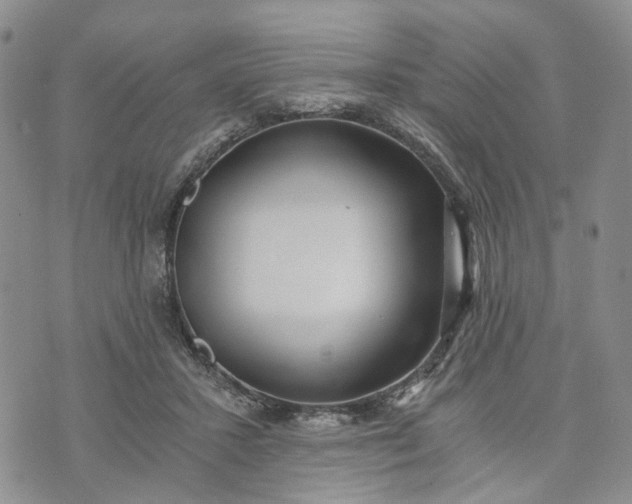 X0000072980407200608041248