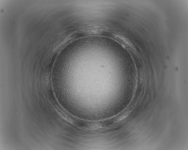 X0000072980409200608041248