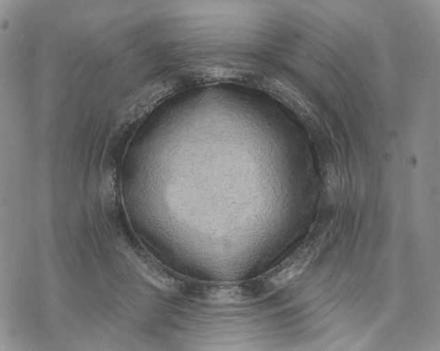 X0000072980410200608041248