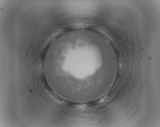 X0000072980411200608041248