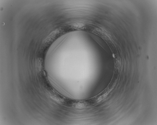 X0000072980412200608041248