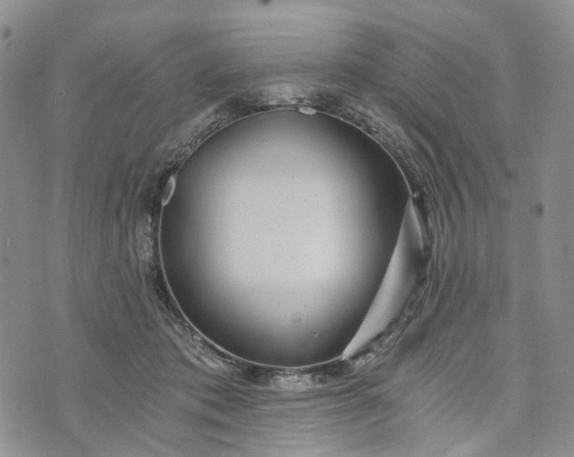 X0000072980413200608041248