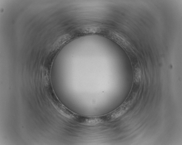 X0000072980414200608041248