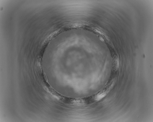 X0000072980415200608041248