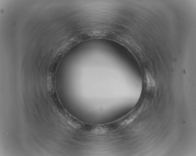 X0000072980416200608041248