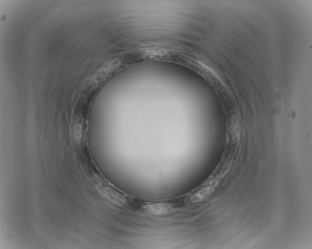 X0000072980417200608041248