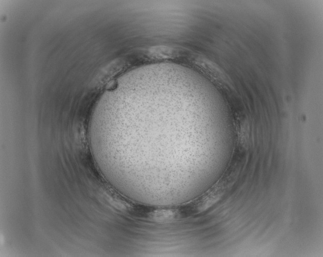 X0000072980418200608041248