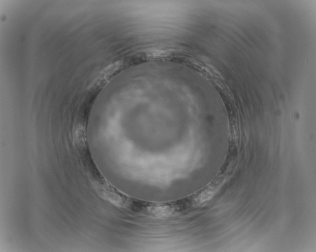 X0000072980419200608041248