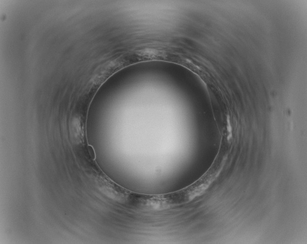 X0000072980420200608041248