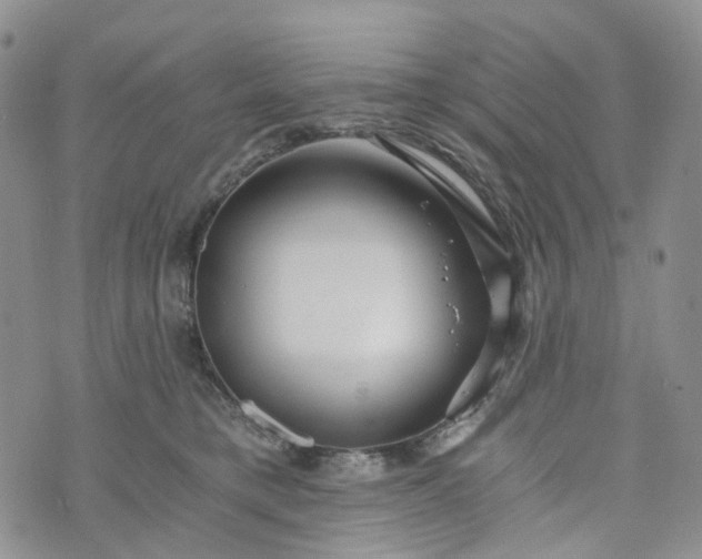 X0000072980421200608041248