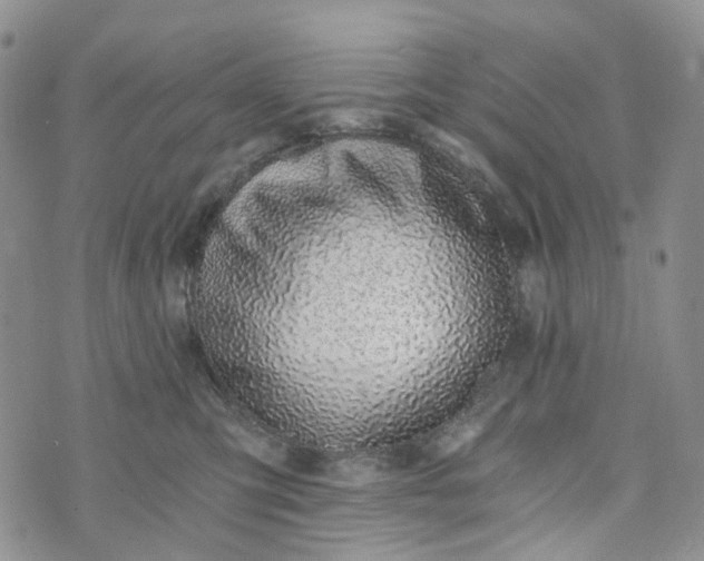 X0000072980423200608041248