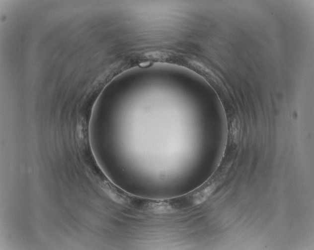 X0000072980424200608041248