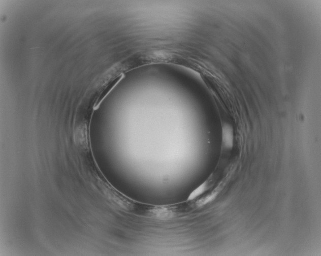 X0000072980425200608041248