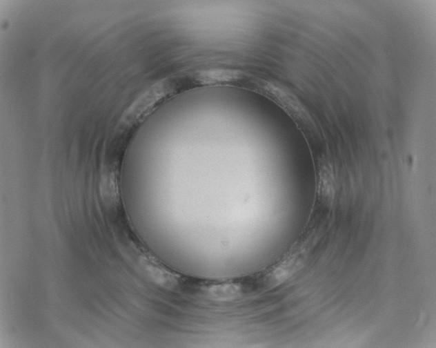 X0000072980426200608041248