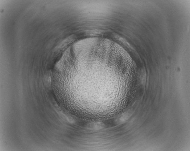 X0000072980427200608041248