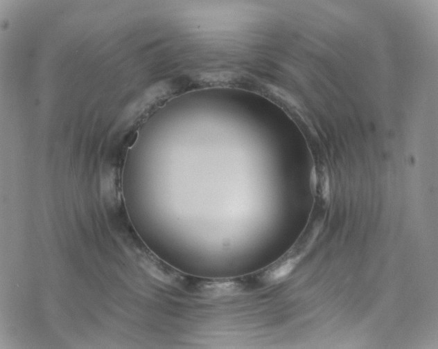 X0000072980428200608041248