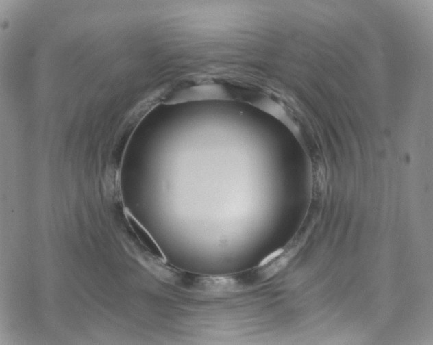 X0000072980429200608041248