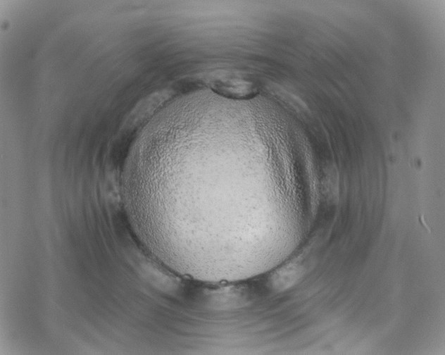 X0000072980430200608041248